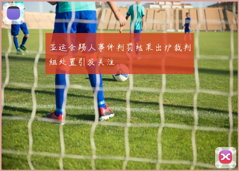 亚运会踢人事件判罚结果出炉裁判组处置引发关注